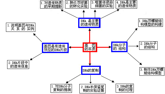基因的化學本質(基因合成的原理)-圖1