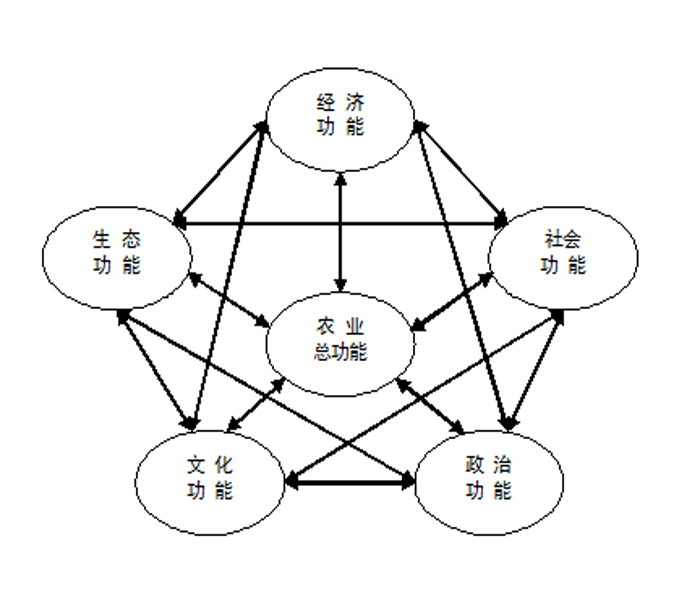 社會功能是什么意思(社會功能包括哪四個方面)-圖1
