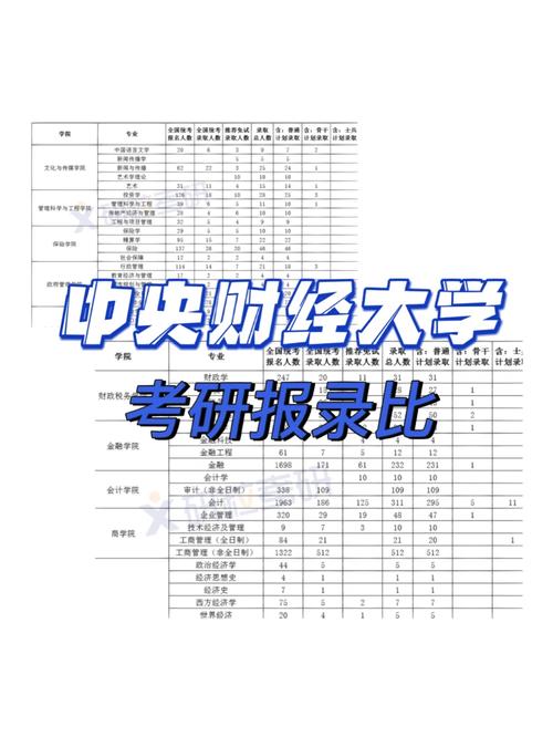央財(cái)考研難度大嗎(上財(cái)和央財(cái)哪個(gè)考研難度大)-圖1