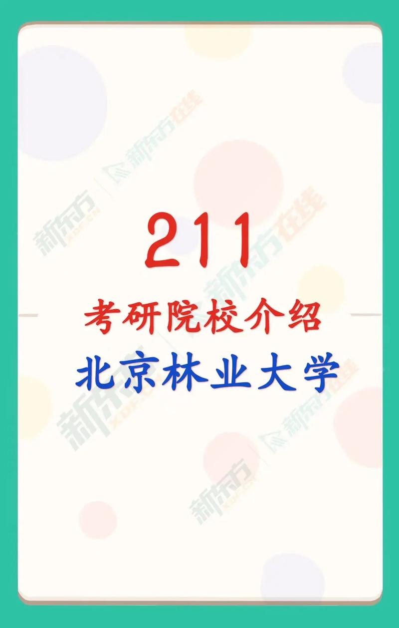 北京林業(yè)大學(xué)考研難嗎(考研考陜師大有多難)-圖1