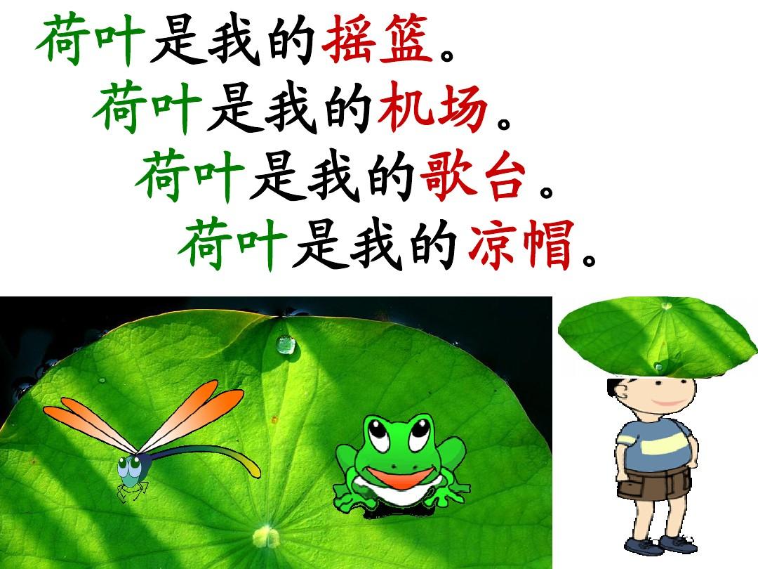 荷葉是我的(荷葉是我的什么仿寫)-圖1