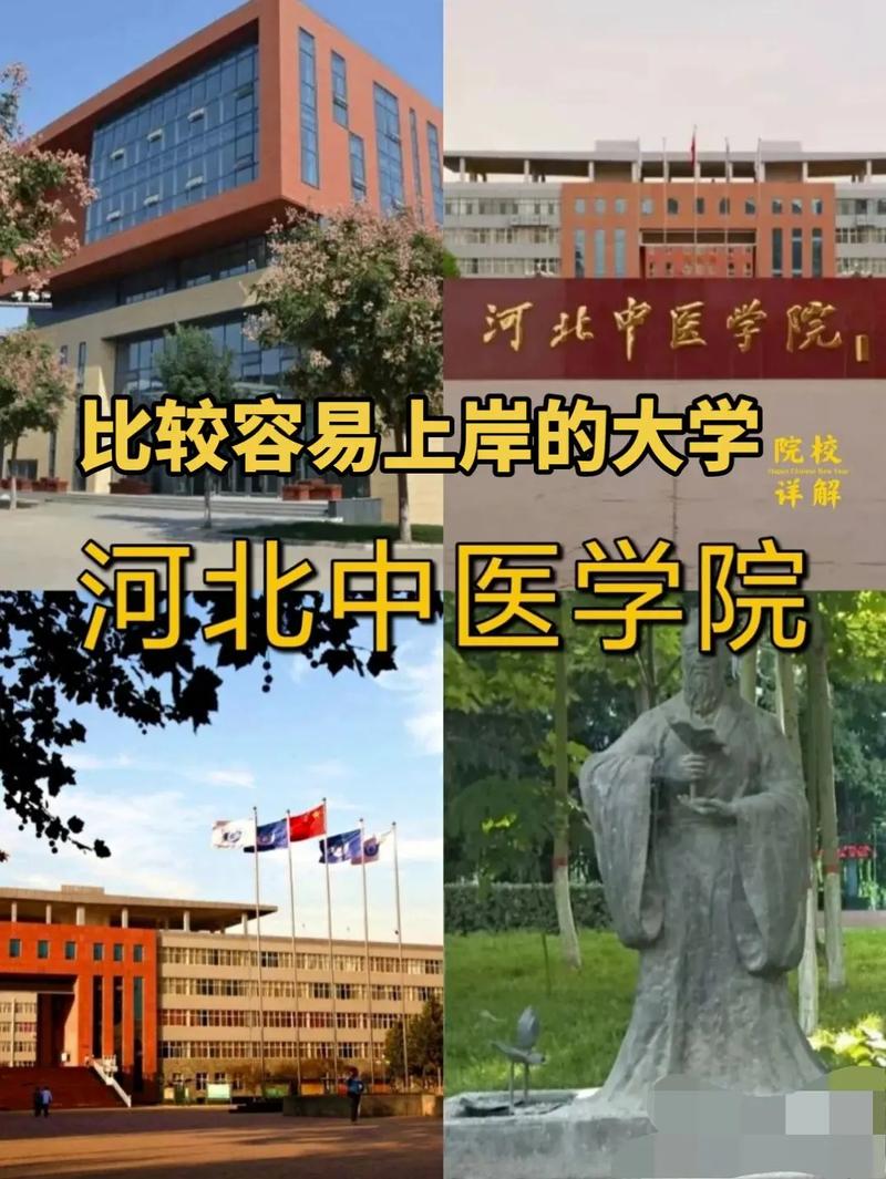 河北中醫(yī)學(xué)院是幾本(錄取分數(shù)線)-圖1
