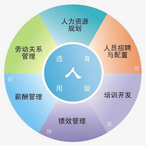 人力資源的六大模塊是哪些-圖1