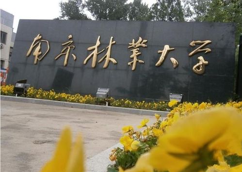 南京林業大學是211嗎-圖1