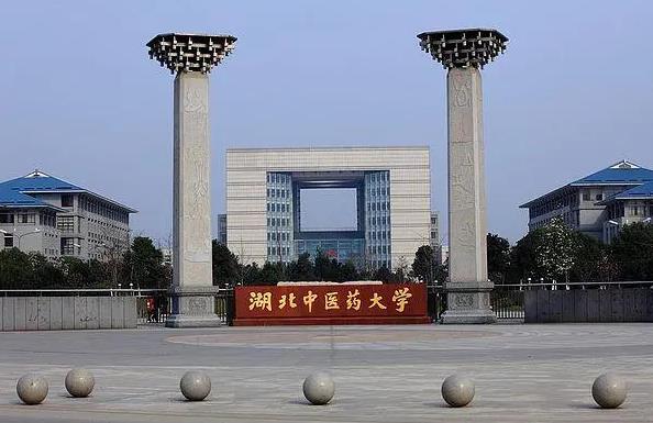 湖北中醫(yī)藥大學成人教育-圖1