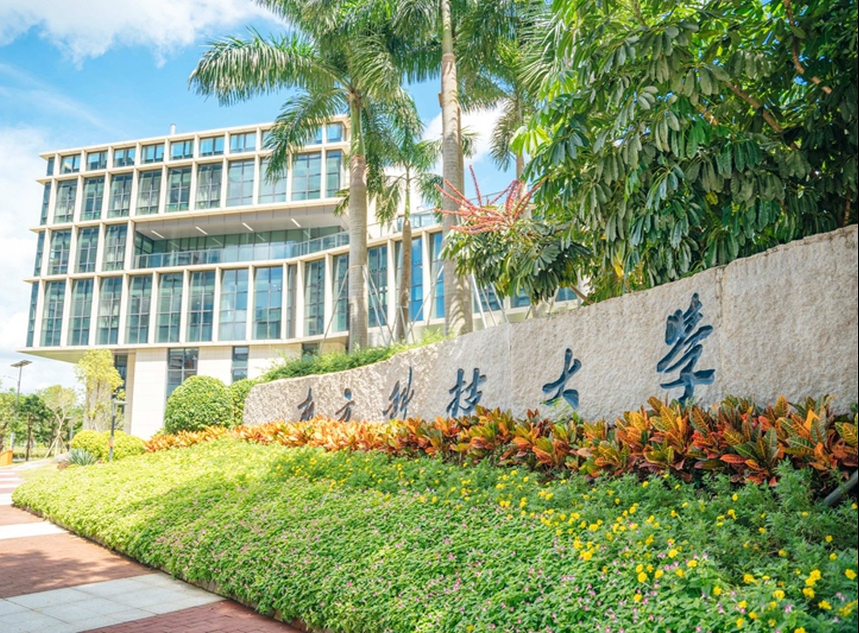 南方科技大學有多好-圖1