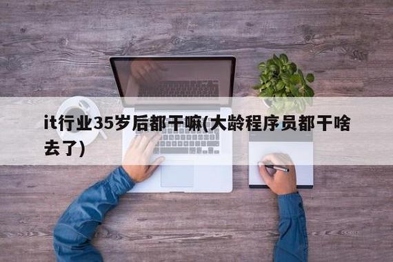 it行業35歲后都干嘛-圖1