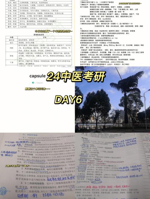 中醫考研難度大嗎-圖1