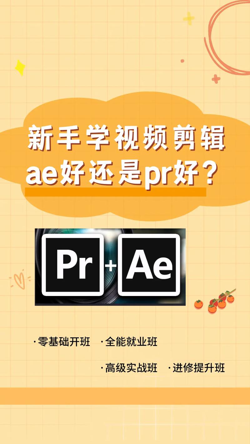 新手ae和pr先學(xué)哪個(gè)好-圖1
