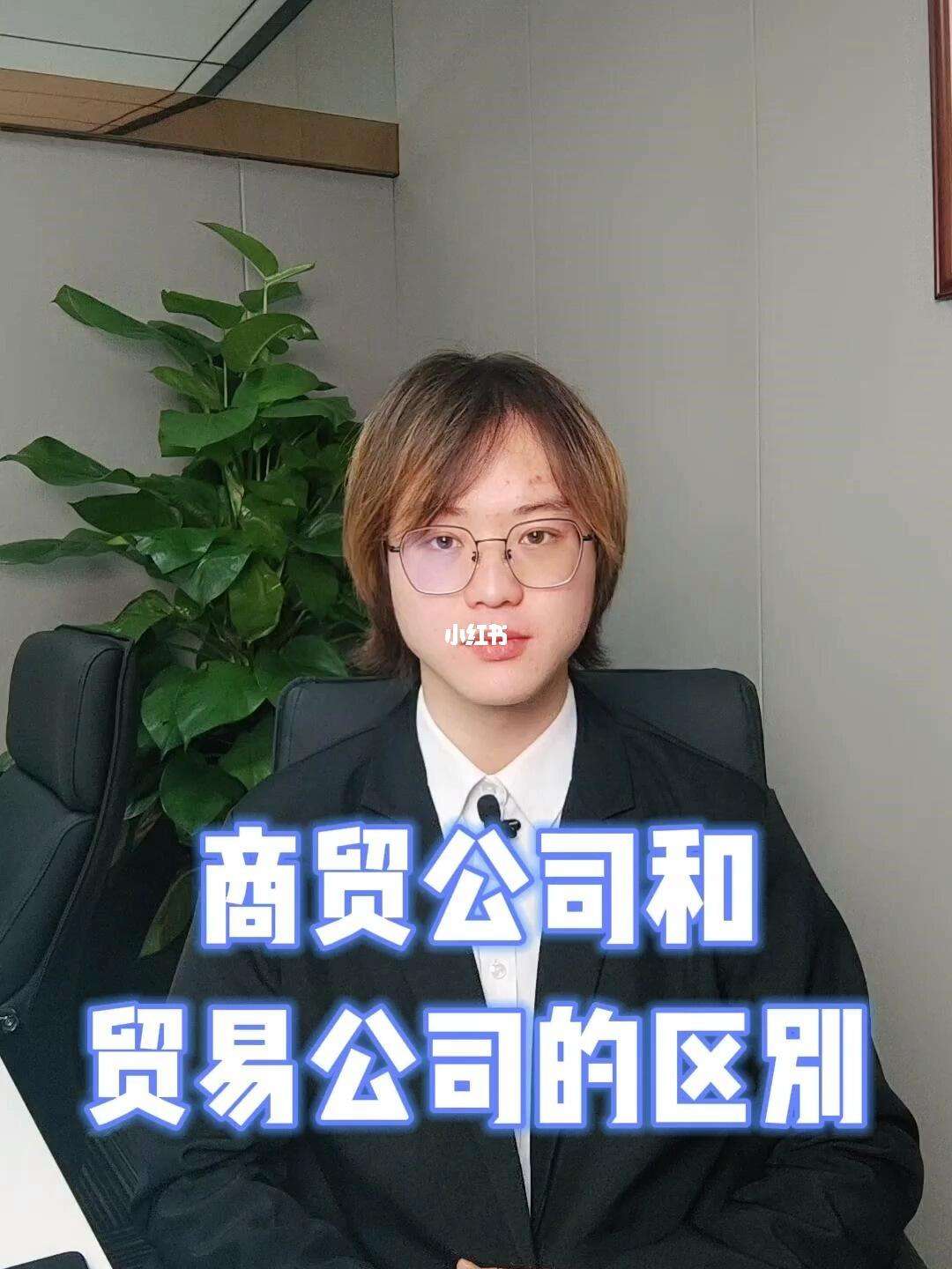 商貿(mào)和貿(mào)易公司的區(qū)別-圖1