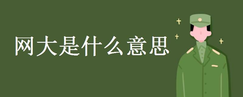 網大是什么意思-圖1