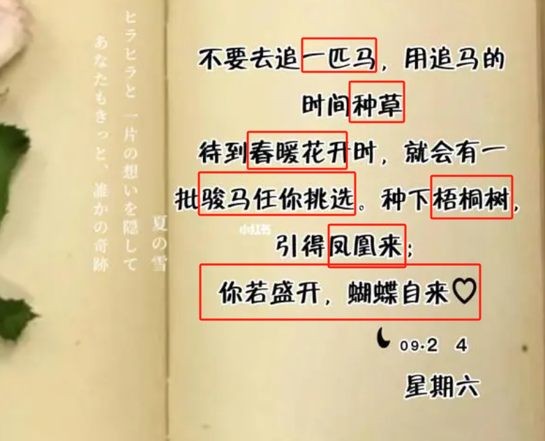 上帝為你關上一扇門就會為你打開一扇窗-圖4