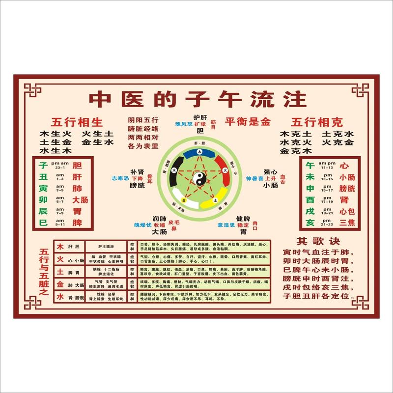中醫入門先學什么-圖1