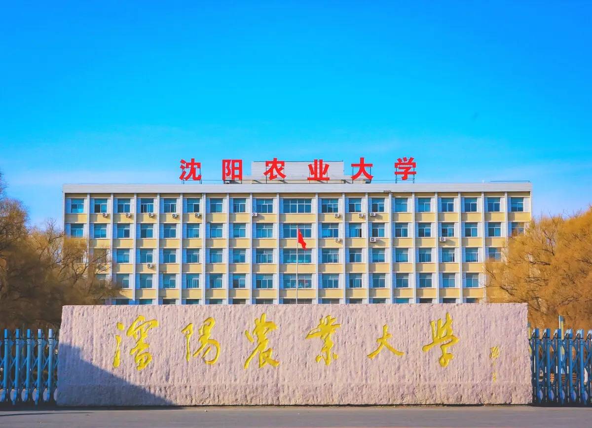 沈陽農業大學好嗎-圖1