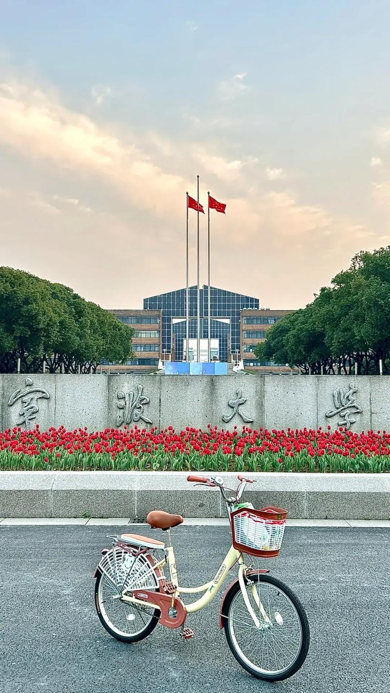 寧波大學是雙一流大學嗎-圖1