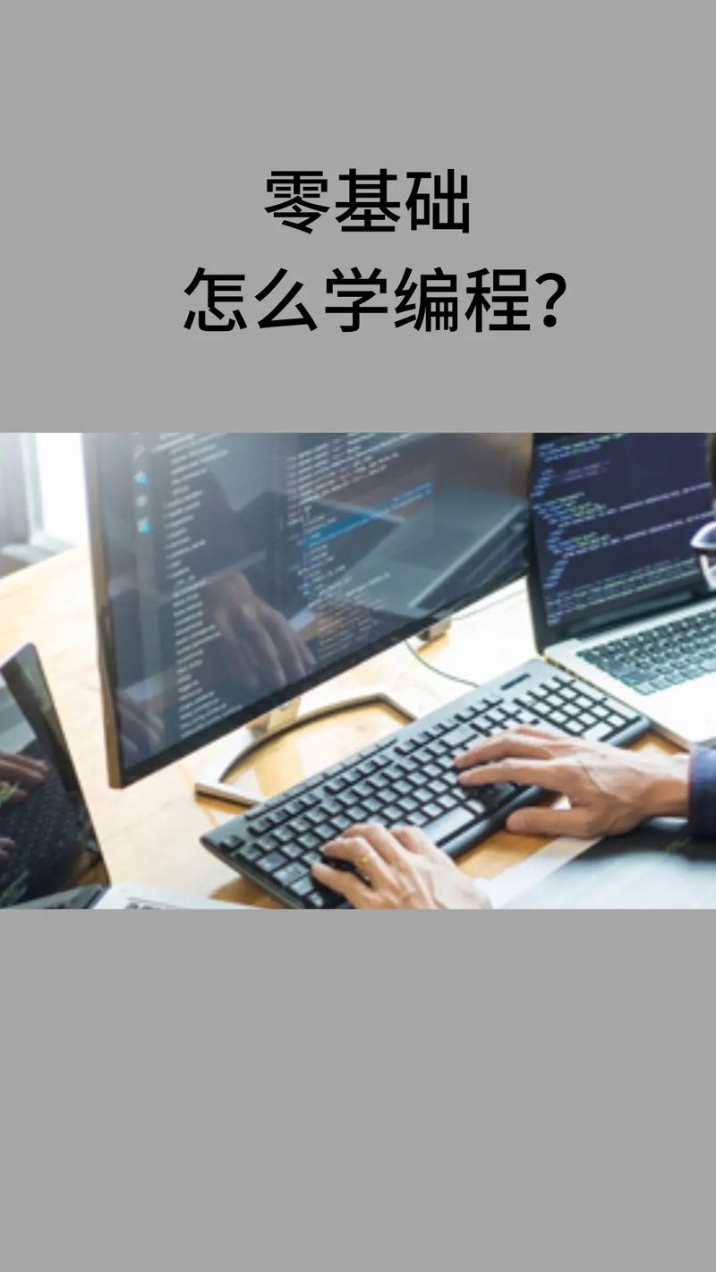 零基礎編程先學什么-圖1