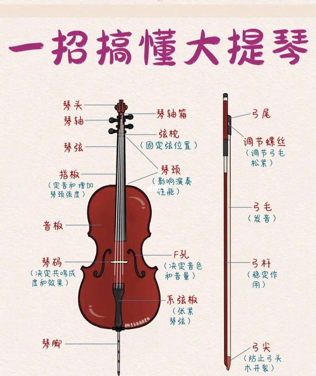 學(xué)大提琴的危害-圖1