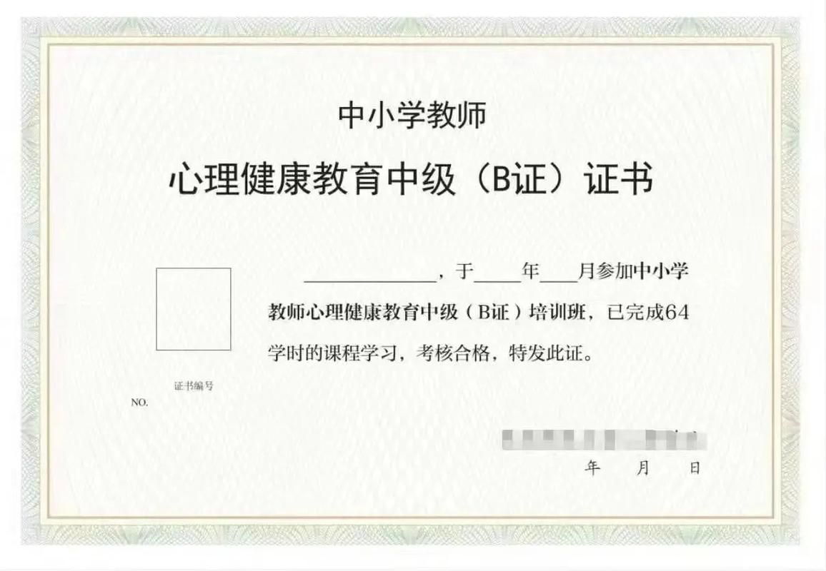 b證是什么證書-圖1