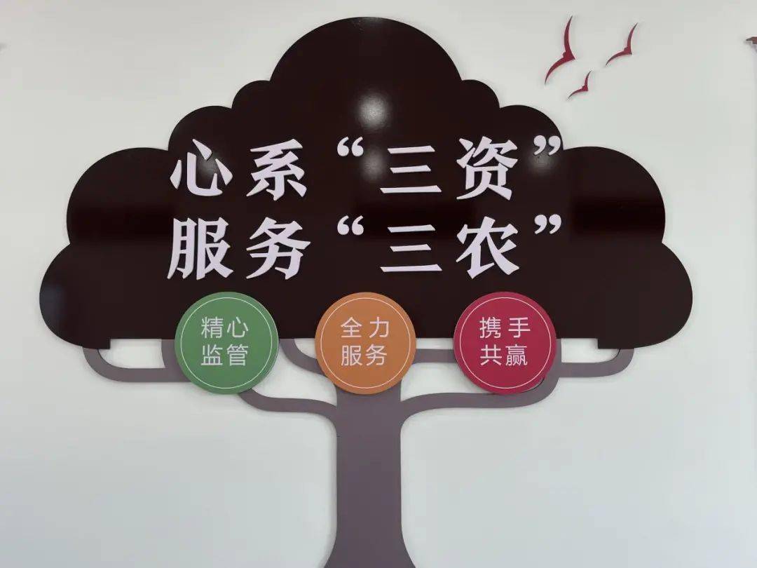 三資指的是哪三資-圖1