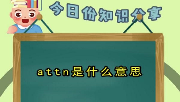 attn什么意思-圖1