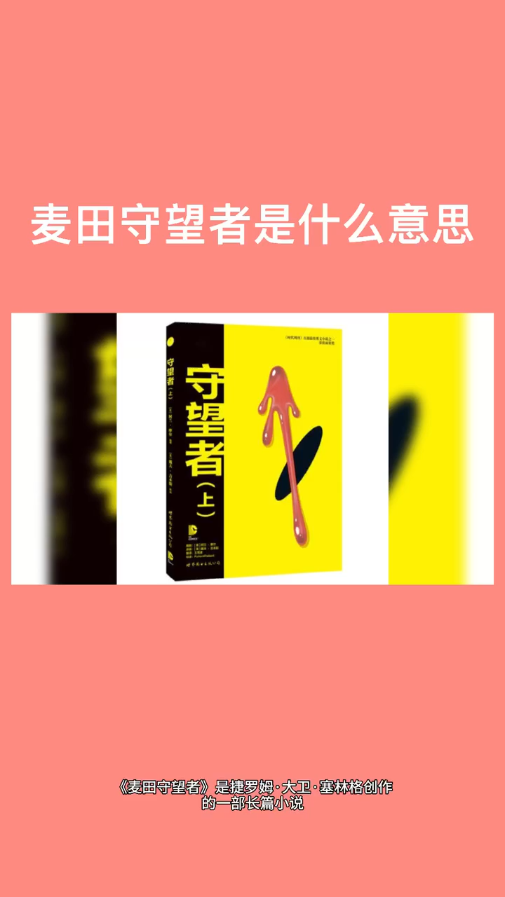 麥田守望者的寓意-圖1