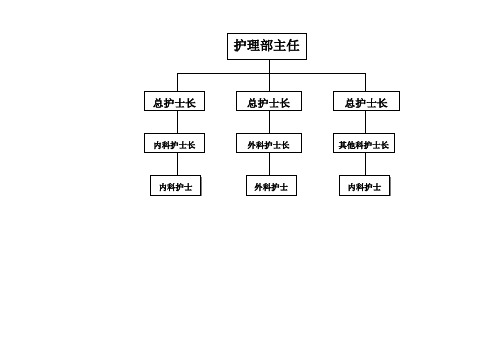 護(hù)士長(zhǎng)是什么級(jí)別-圖1