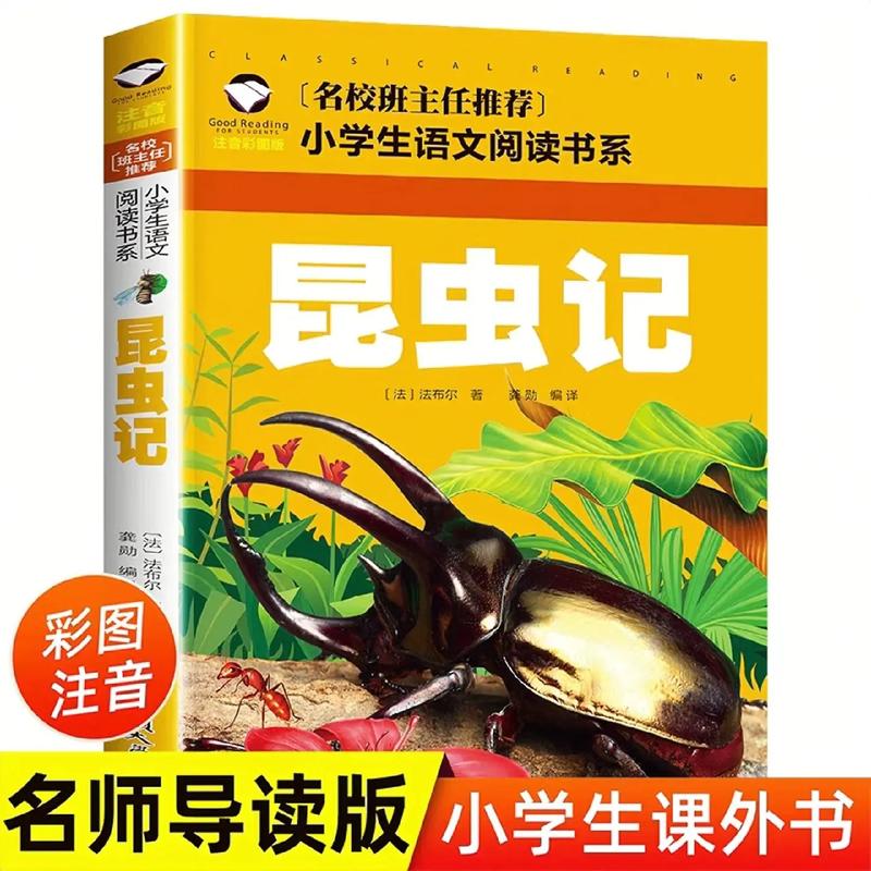 二年級(jí)課外書(shū)閱讀-圖1