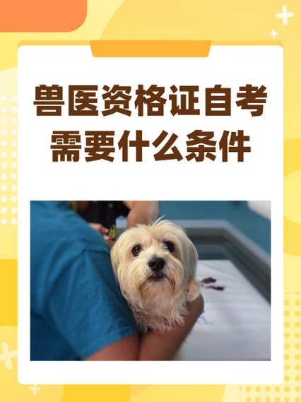 獸醫證自考需要什么條件-圖1
