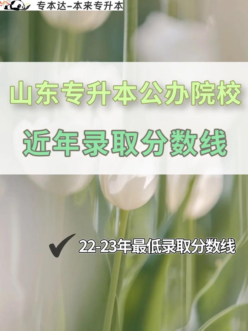 山東招收專升本的學校 報考條件有哪些-圖1