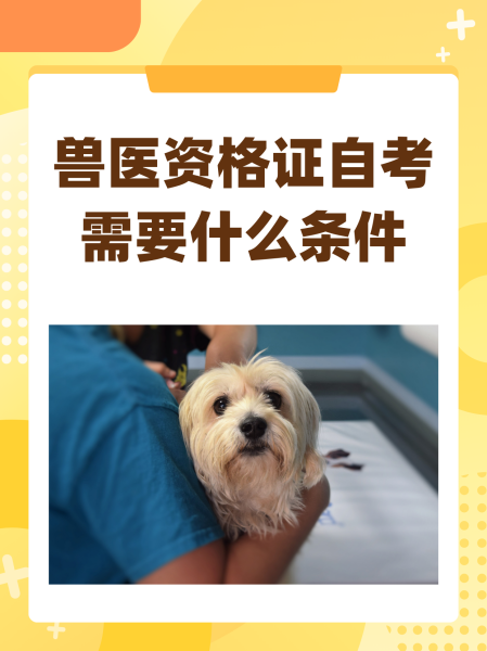 獸醫自考需要什么條件-圖1