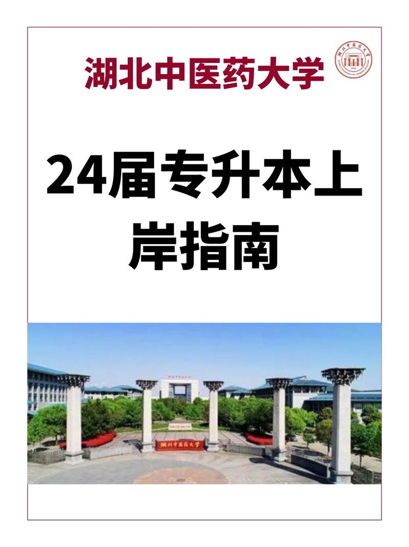 湖北中醫藥大學專升本-圖1