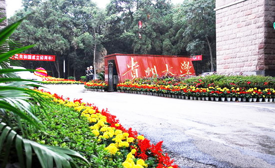 貴州大學繼續教育學院官網http://cce.gzu.edu.cn/-圖1