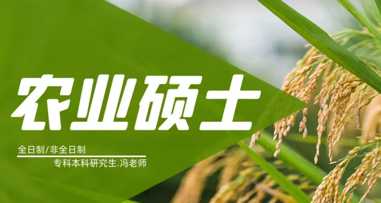 農業(yè)管理碩士畢業(yè)后都干嘛了-圖1