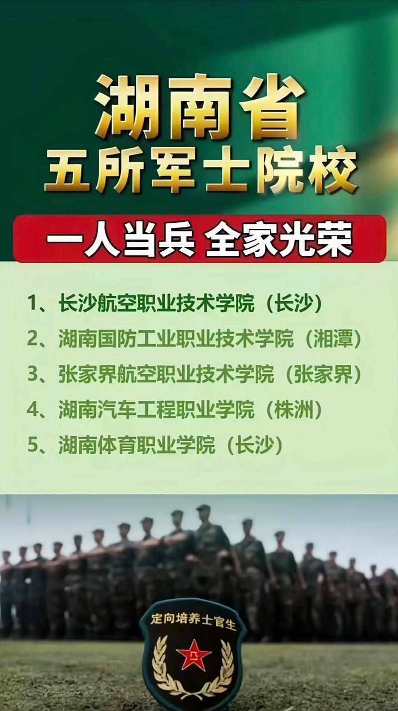定向士官淘汰率多高？具體數據如何？-圖1