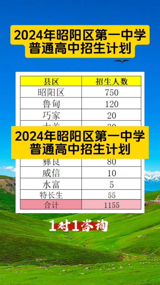 昭陽區(qū)二中錄取分數(shù)線是多少？如何查詢？-圖1
