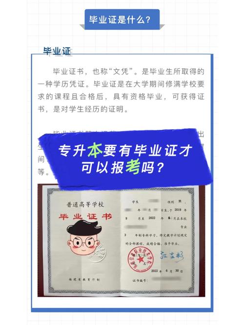 畢業了還可以考專升本嗎(報考條件)-圖1