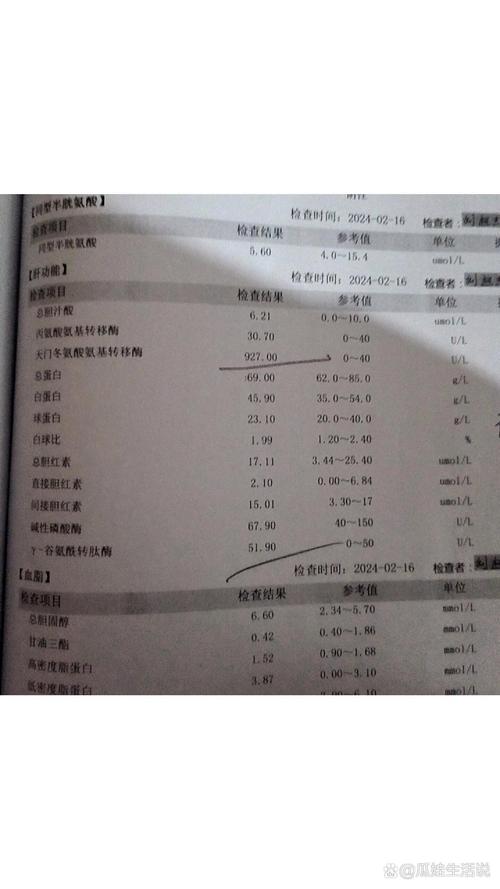 天門冬氨酸氨基轉移酶正常值-圖1