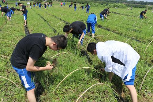 寧都中學的升學率如何？有何特色活動？-圖1