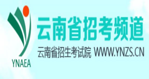 云南省招考頻道入口官網-圖1