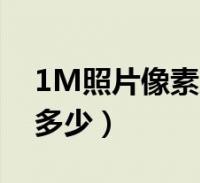 照片1m是什么意思-圖1