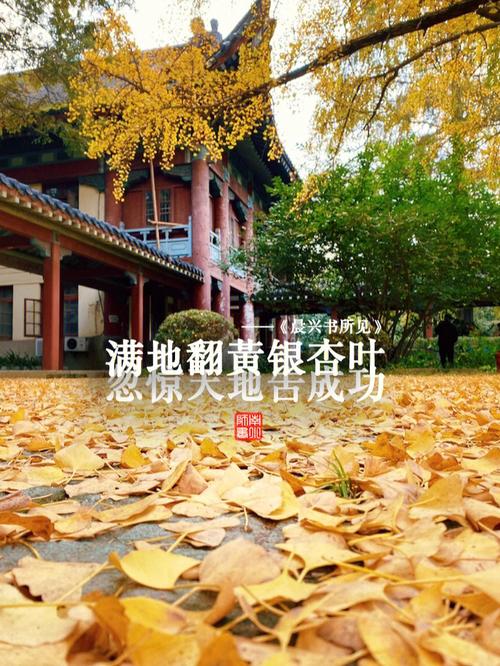 南京師范大學(xué)隨園校區(qū)地址是什么？如何查詢？-圖1
