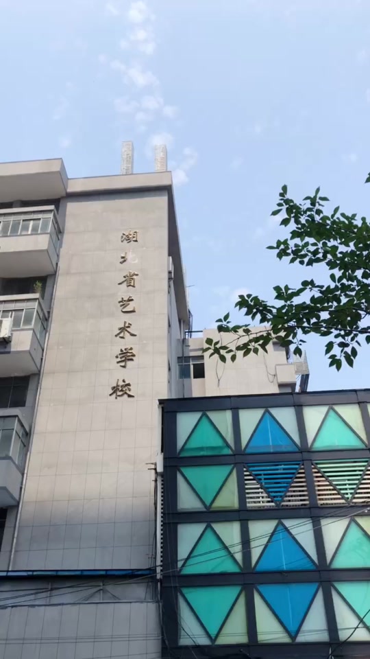湖北藝術職業學院好不好-圖1
