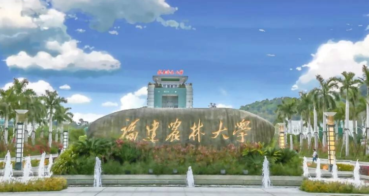 福建農(nóng)林大學(xué)是211嗎-圖1