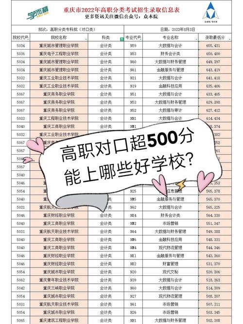 單招500分能上什么學(xué)校-圖1