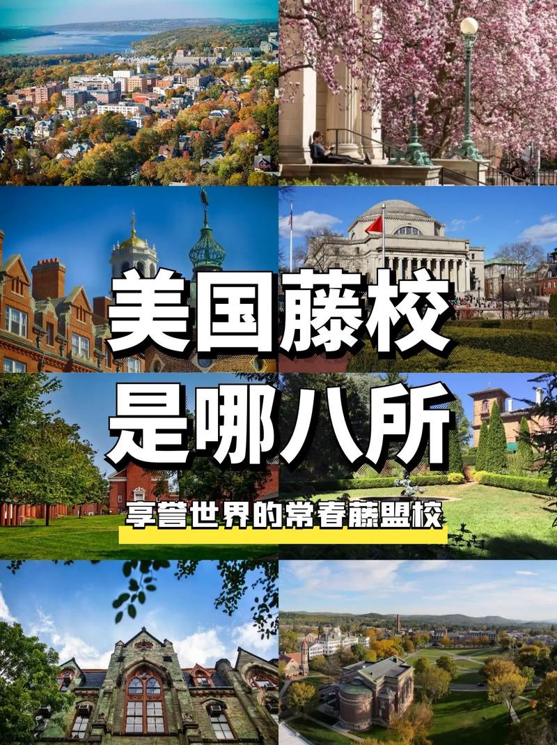美國名校叫常青藤還是常春藤-圖1