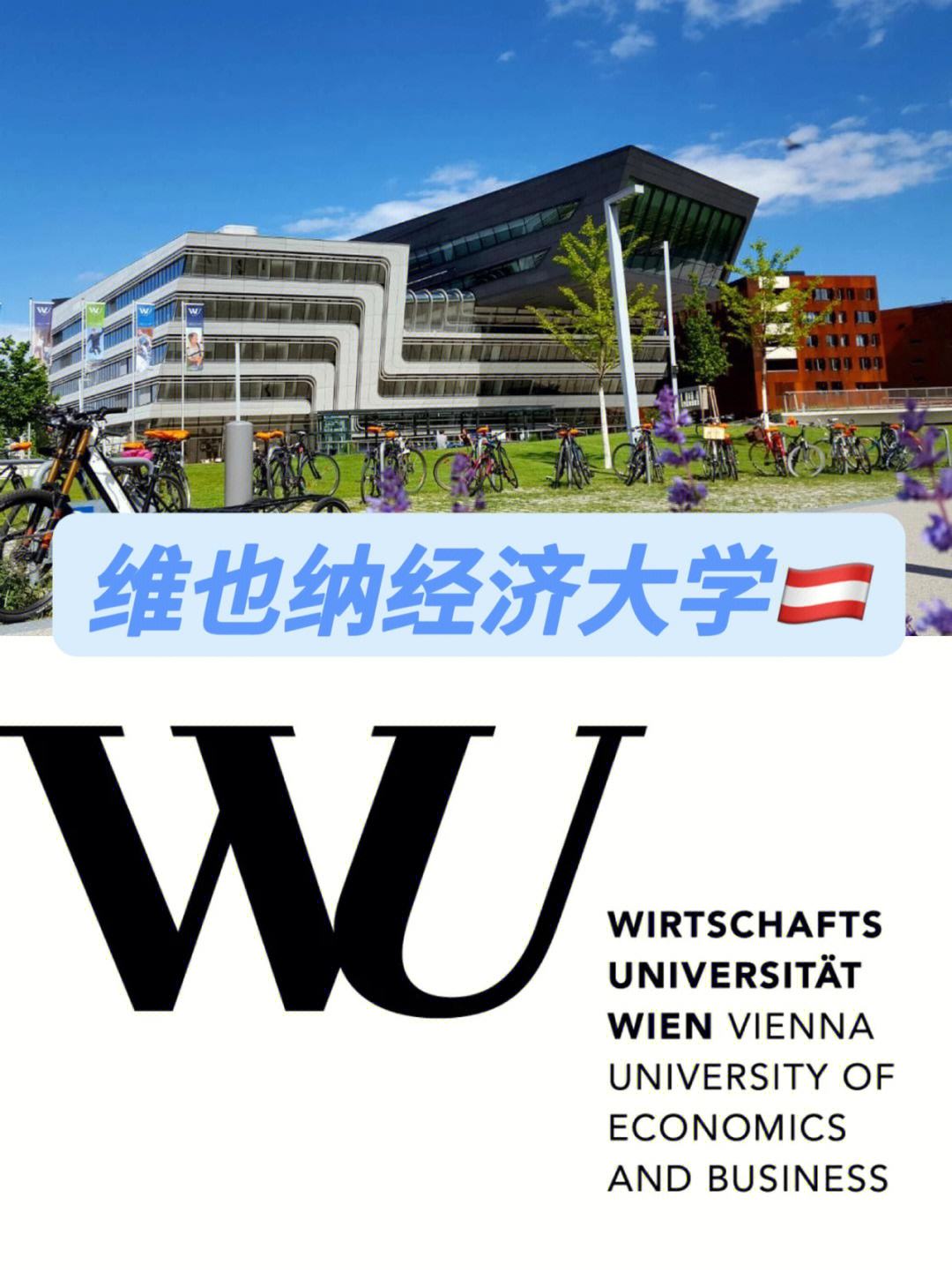 維也納大學相當于國內什么大學？含金量高嗎？-圖1