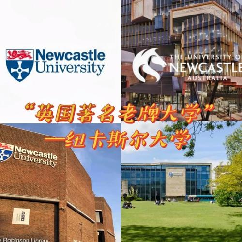 紐卡斯爾大學相當于國內什么大學？含金量高嗎？-圖1