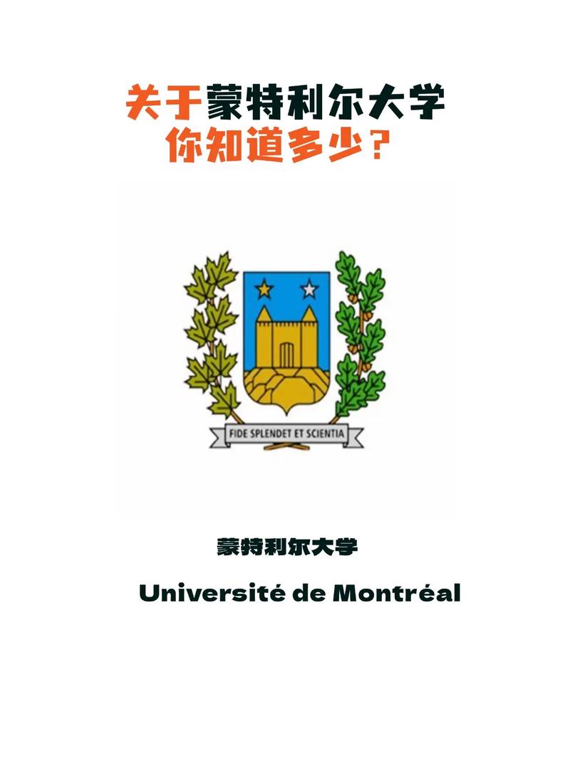 蒙特利爾大學相當于國內什么檔次？什么水平？-圖1