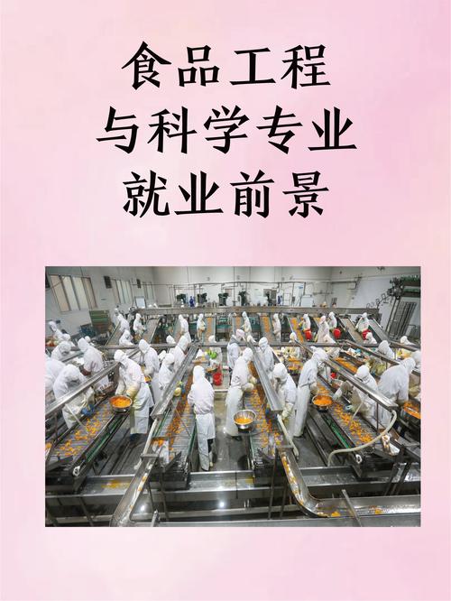 食品科學與工程適合女生學嗎-圖1