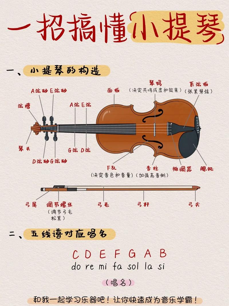 十種不適合學小提琴的人（特點）-圖1